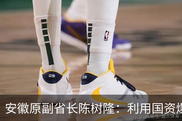 安徽原副省长陈树隆：利用国资爆赚、花天酒地、声色犬马，生了一窝私生子