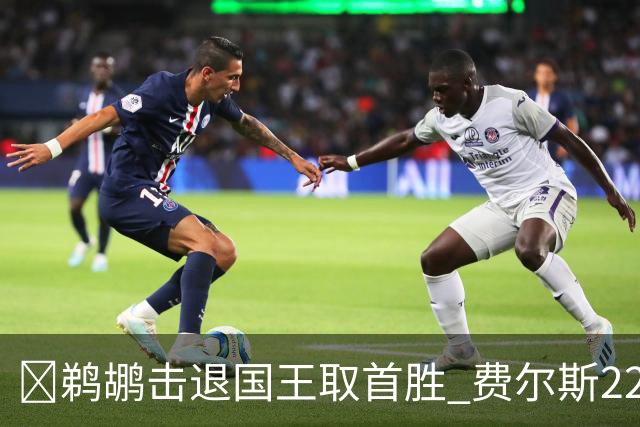 🏀鹈鹕击退国王取首胜 费尔斯22+8+13 锡安22+6 阿卡夫34+6+13